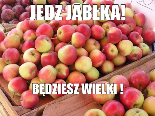 Embargo na polskie jabłka